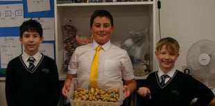 School pupils working on local community projects